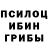 Галлюциногенные грибы прущие грибы Messer Fly