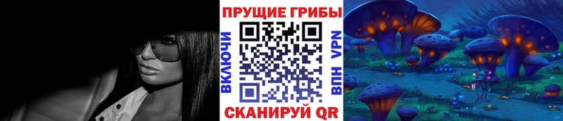 где продают наркотики  Курчалой  Псилоцибиновые грибы прущие грибы 