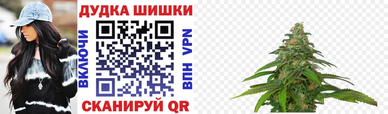 Шишки марихуана сатива как найти закладки Курчалой